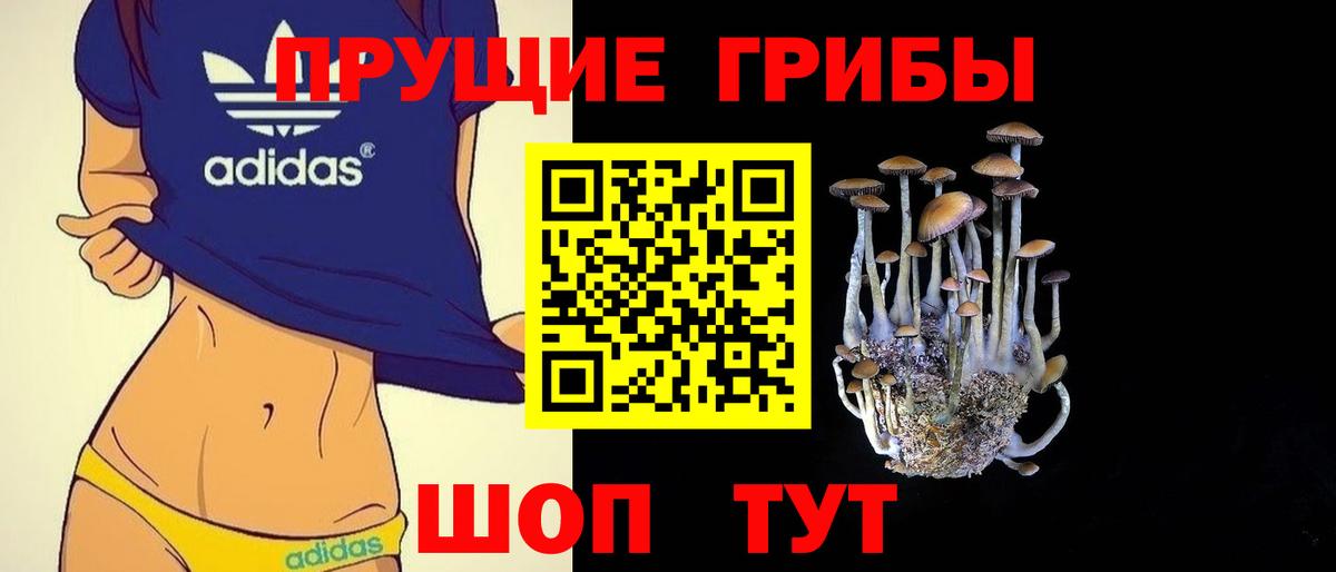 Галлюциногенные грибы Psilocybe  Вход с VPN  Галлюциногенные грибы GOLDEN TEACHER  Ликино-Дулёво 
